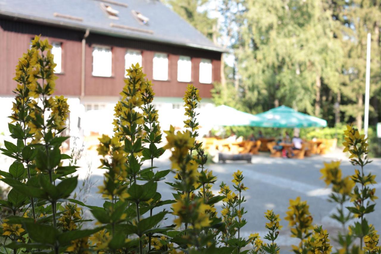 Buerger- Und Berggasthaus Scheibenberg ภายนอก รูปภาพ
